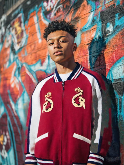 Vintage Yokosuka embroidered jacquard knitted cardigan with snake design and color block detailing worn by male model against graffiti wall